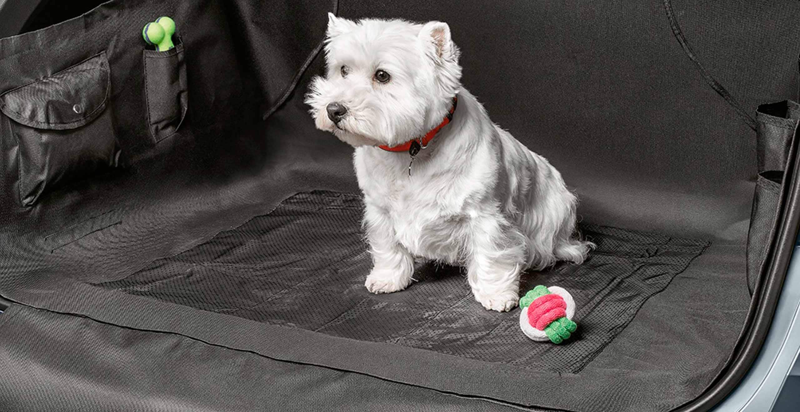 Accesorios SEAT Pets Detalles delanteros