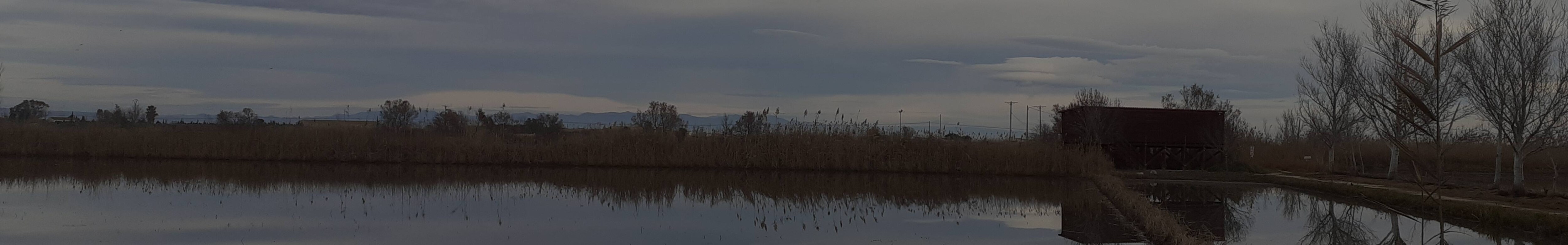 SEAT y Grupo Volkswagen recuperan el ecosistema del Parque Natural Delta del Ebro