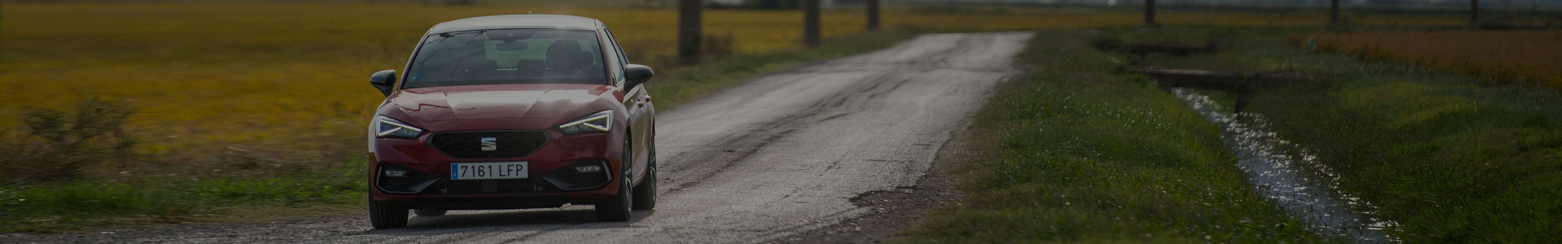 ¿Piezas de auto hechas con cáscara de arroz? SEAT ya lo investiga